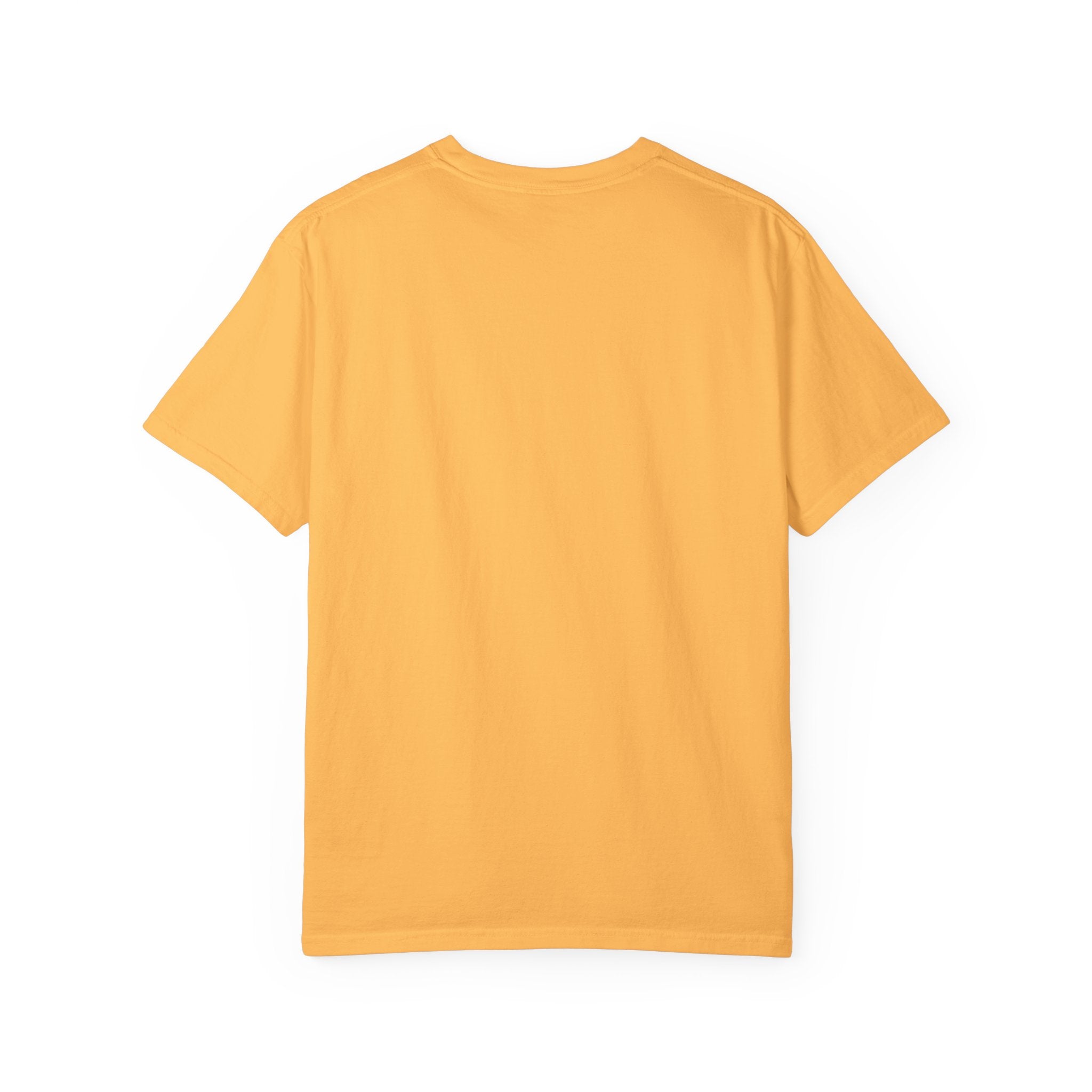 Tennessee Graphic T-Shirt | Tenn Football Fans Shirt